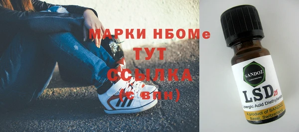 стафф Новодвинск