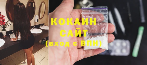 индика Нязепетровск