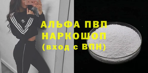 стафф Новодвинск