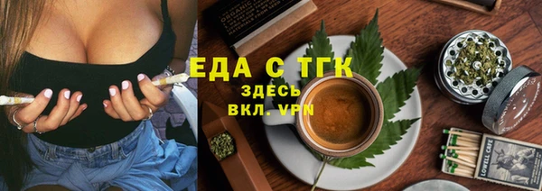 индика Нязепетровск