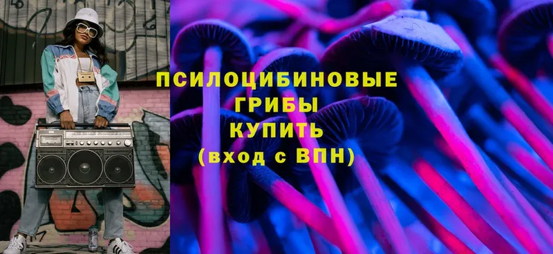 хочу наркоту  Калач-на-Дону  Галлюциногенные грибы MAGIC MUSHROOMS 