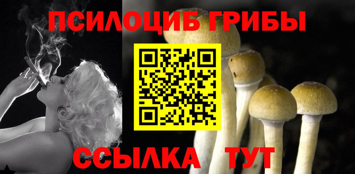 Галлюциногенные грибы MAGIC MUSHROOMS Калач-на-Дону